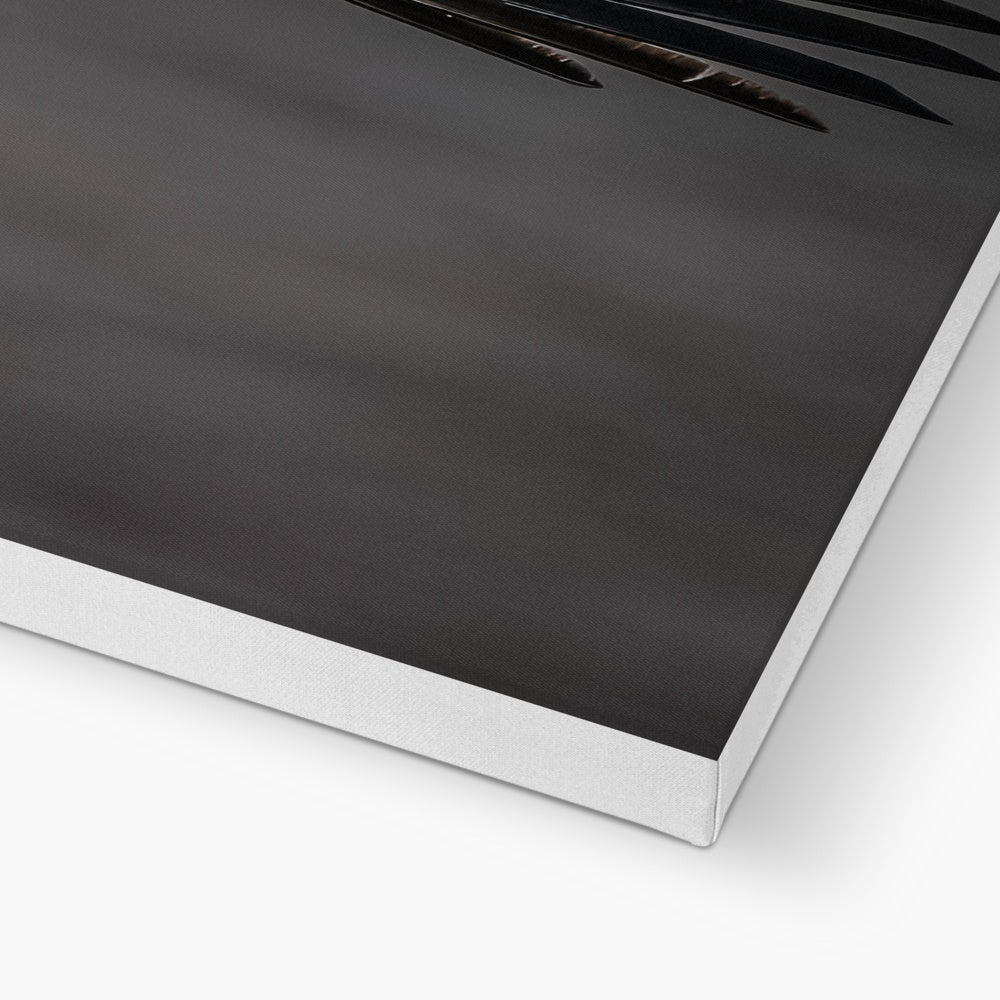 Young Eagle in Flight I