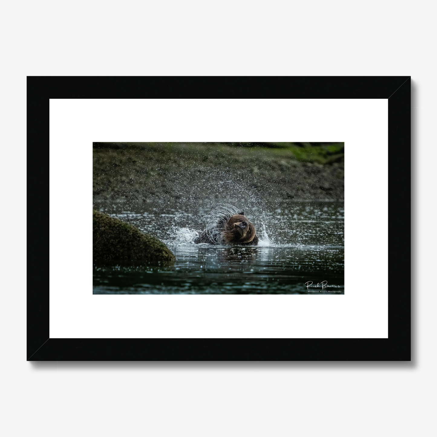 Shaky Bear