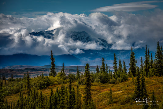 Denali North