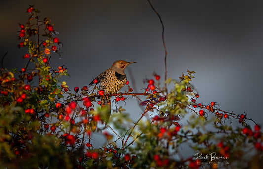 Flicker