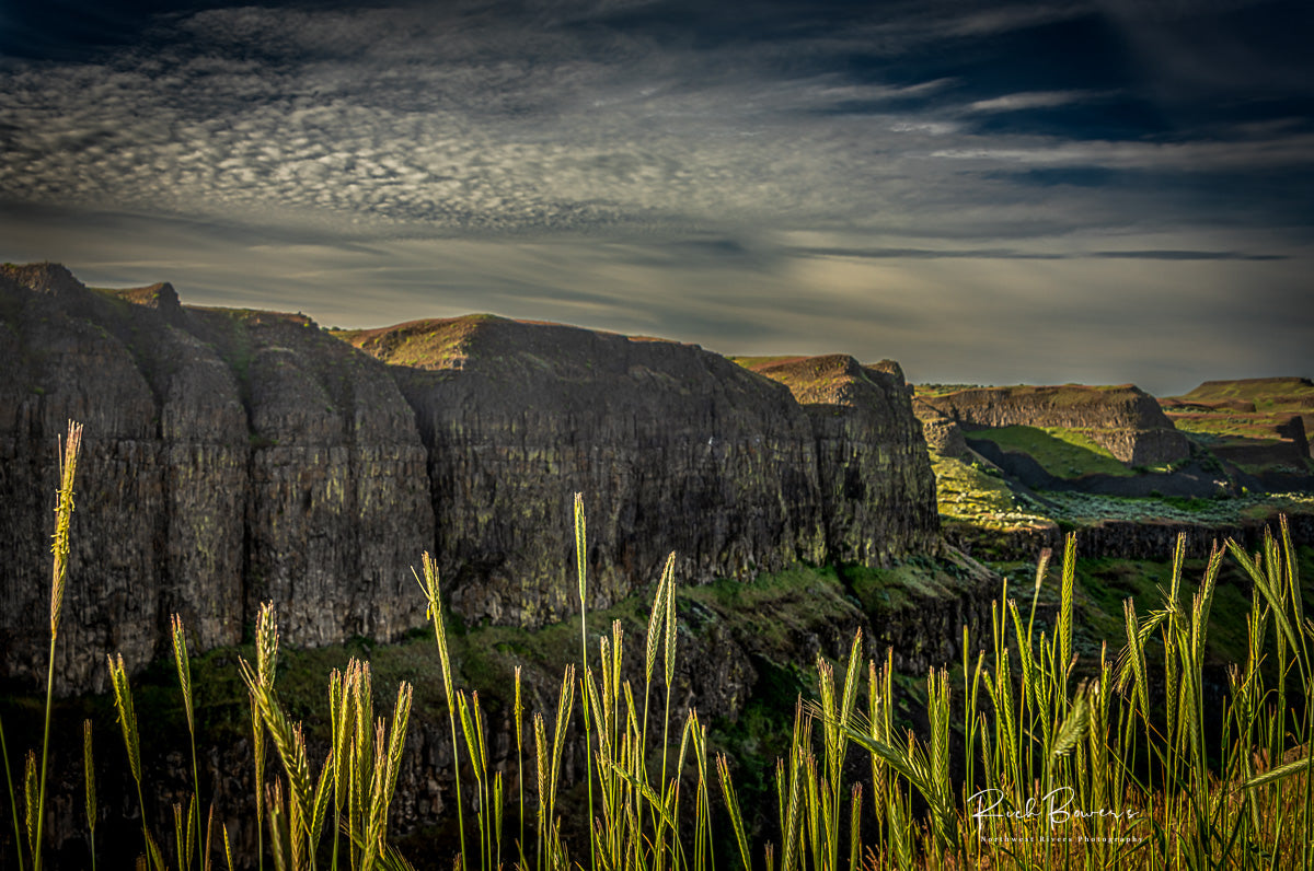 Sunlight on the Palouse