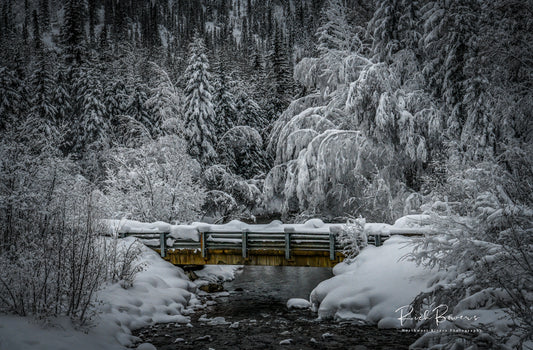 Winter's Bridge